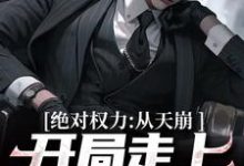 绝对权力:从天崩开局走上官途巅峰小说全文哪里可以免费看?-书格格