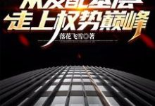 寻找能够免费阅读官梯：从发配基层走上权势巅峰小说的平台-书格格