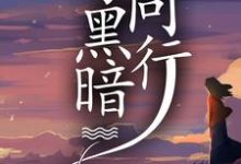 《与黑暗同行》凌无忧时垣小说免费阅读完整版-书格格