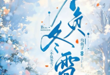 不负冬雪小说的无弹窗阅读体验，寻找免费阅读网站-书格格