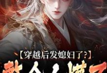 穿越后发媳妇了？整个人懵了萧辰小说大结局免费试读-书格格