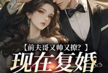 小说完整版《前夫哥又帅又撩?现在复婚来得及吗》免费阅读-书格格