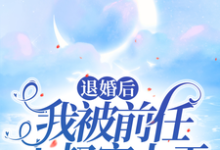 退婚后，我被前任小叔宠上天最新章节，退婚后，我被前任小叔宠上天免费阅读-书格格