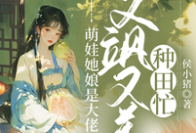 《萌娃她娘是大佬，又飒又美种田忙》沈煜宁傅风华小说免费阅读完整版-书格格