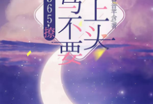 求365，撩：竹马不要太上头小说的全文免费阅读链接-书格格