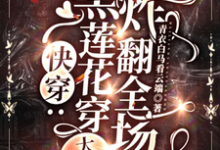 快穿：黑莲花穿大冤种，炸翻全场小说最新更新在哪里？免费在线看-书格格