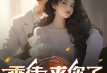 楚辰小说免费阅读完整版-书格格