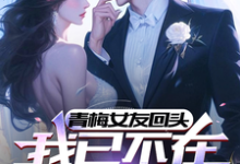 青梅女友回头,我已不在原地等她小说阅读,青梅女友回头,我已不在原地等她完结版-书格格
