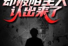 出狱后打零工，却被陌生人认出来了这本小说完结了吗？免费查看最新章节-书格格