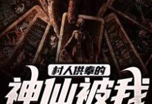 村人供奉的神仙被我娶到了小说有没有完结版在线？-书格格