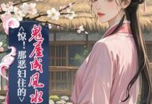 惊！那恶妇住的鬼屋成风水宝地了小说最新更新在哪里？免费在线看-书格格