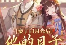 娶了白月光后,他的日子鸡飞狗跳章节免费在线阅读,盛栖月萧玉衡完结版-书格格