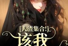 人渣集合！该我收割了完整版小说，人渣集合！该我收割了洛芷魏智-书格格