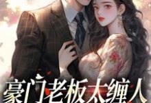 豪门老板太缠人，为她折腰为她疯沈雾徐宴行，豪门老板太缠人，为她折腰为她疯章节在线阅读-书格格