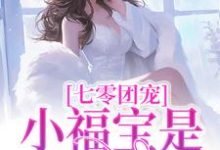 小宝完整版小说免费阅读-书格格