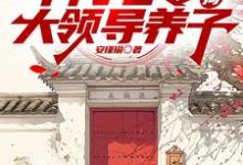 年代七零，开局大领导养子小说无弹窗阅读的网站推荐-书格格