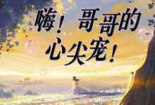 小说完整版《嗨！哥哥的心尖宠！》免费阅读-书格格