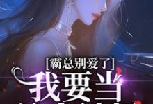 寻找能够免费阅读霸总别爱了,我要当单身辣妈小说的平台-书格格
