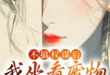 不搞权谋后，我坐看废物儿女作死小说完结版章节免费阅读-书格格