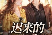 完结版《迟来的心动》免费阅读-书格格