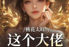 完结版《桃花太旺!这个大佬借你挡一挡》章节阅读-书格格