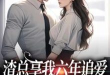 渣总享我六年追爱还心系绿茶小说的无弹窗阅读体验,寻找免费阅读网站-书格格