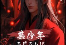 慕少年：太傅大人他风华绝代宁绝安崇邺小说完结版章节在线阅读-书格格