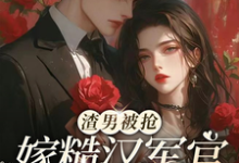 渣男被抢，嫁糙汉军官养崽躺赢这本小说完结了吗？免费查看最新章节-书格格