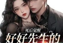 小说《好好先生的真实面目》在线章节阅读-书格格