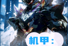 完整版小说《机甲：不过是天梯第一罢了》免费阅读-书格格