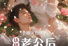 领证五年认错老公后我负全责小说的无弹窗阅读体验，寻找免费阅读网站-书格格