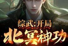 完结版《综武:开局北冥神功,获万年内力》章节阅读-书格格