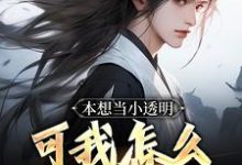 本想当小透明,可我怎么无敌了!秦泽,本想当小透明,可我怎么无敌了!小说免费阅读-书格格