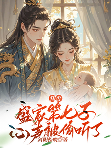 小说《知否：盛家第七子心声被偷听了》章节免费阅读