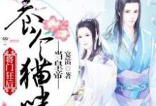 《将门狂后：养个猫咪当皇帝》连瑾小说免费阅读完整版-书格格