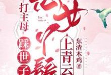 打主母,踩世子,恶女丫鬟上青云这本小说在哪里可以看?哪里有免费试读章节?-书格格