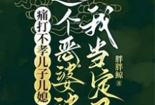 《痛打不孝儿子儿媳，这个恶婆婆我当定了》小说大结局免费试读 秦蓉小说-书格格