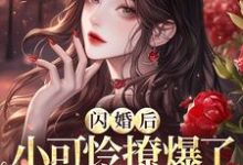 免费在线阅读闪婚后，小可怜撩爆了首富大佬小说的正规网站有哪些？-书格格