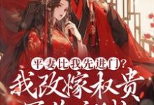 慕窈完整版小说《平妻比我先进门？我改嫁权贵冠绝京城》免费阅读-书格格