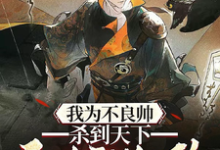 我为不良帅，杀到天下无人敢乱政小说的无弹窗阅读体验，寻找免费阅读网站-书格格