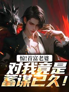 《惊！首富老婆对我竟是蓄谋已久！》全集免费在线阅读（叶安）