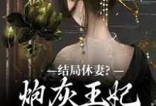 结局休妻？炮灰王妃她力挽狂澜小说最新章节在哪里可以读到？-书格格