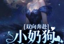 双向奔赴,小奶狗他超心机完整版小说免费阅读,双向奔赴,小奶狗他超心机小说-书格格