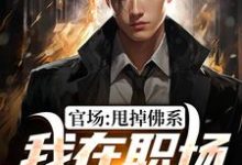 陈明信小说官场：甩掉佛系，我在职场一路直升完整版阅读-书格格