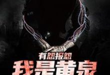 《有怨报怨，我是黄泉摆渡人》小说章节列表免费试读，云渺小说在线阅读-书格格