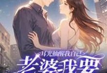 完整版《耳光抽醒我自己，老婆我要改过自新》小说免费阅读-书格格