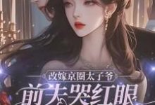 改嫁京圈太子爷，前夫哭红眼求我别嫁小说无弹窗阅读的网站推荐-书格格