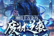 刚结十万金丹，废材逆袭系统来了小说有没有完整的免费版本在线阅读？-书格格