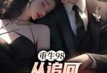 已完结小说《重生98：从追回妻子开始》在线章节阅读-书格格