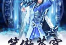 小说《笑傲苍穹》完整版在线章节免费阅读-书格格